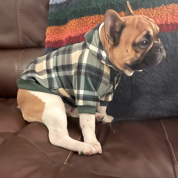 Matching Hoodies - Picture 3 of 16